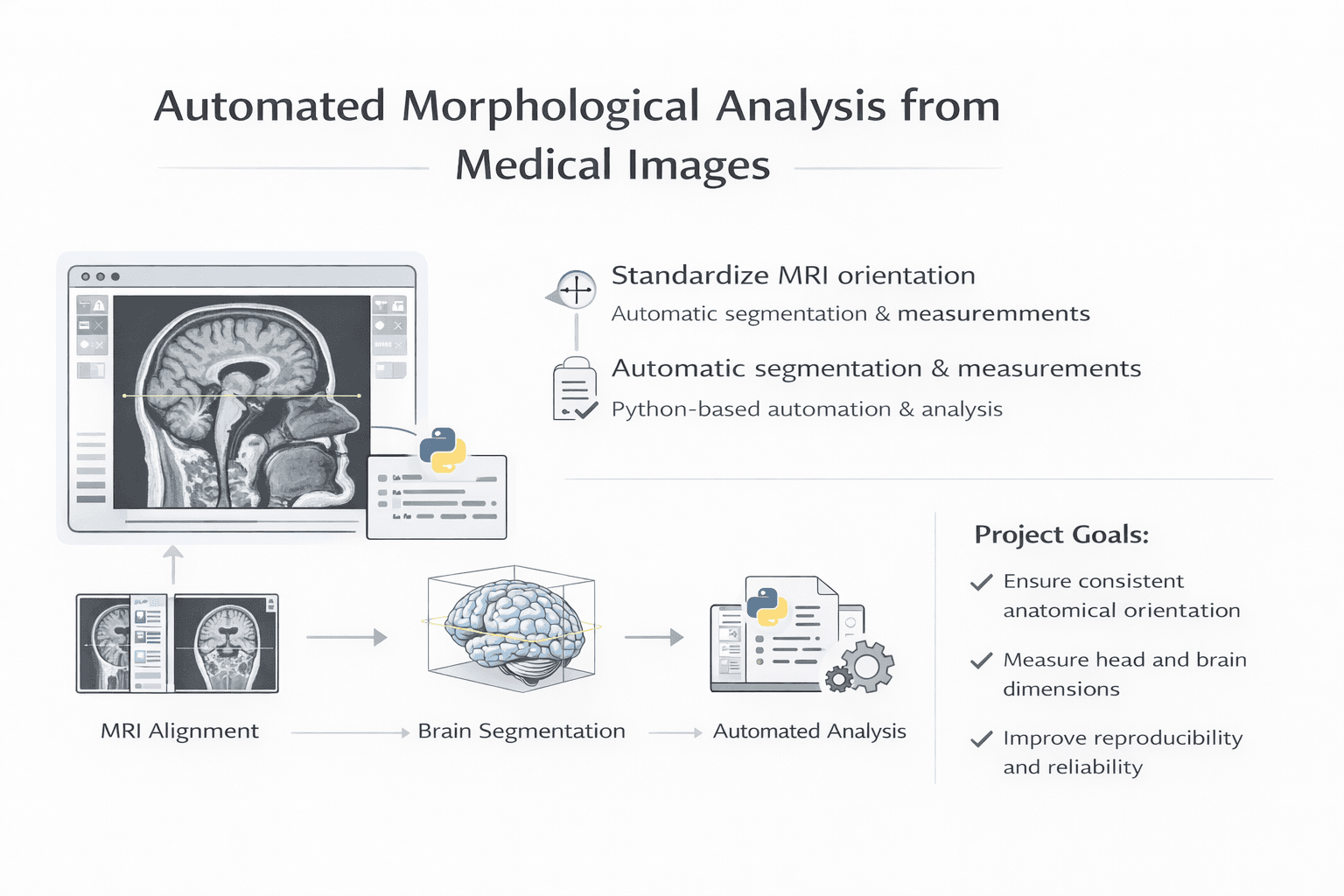 Analyse morphologique automatisée à partir d'images médicales