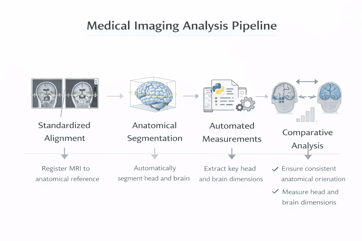 Analyse morphologique automatisée à partir d'images médicales